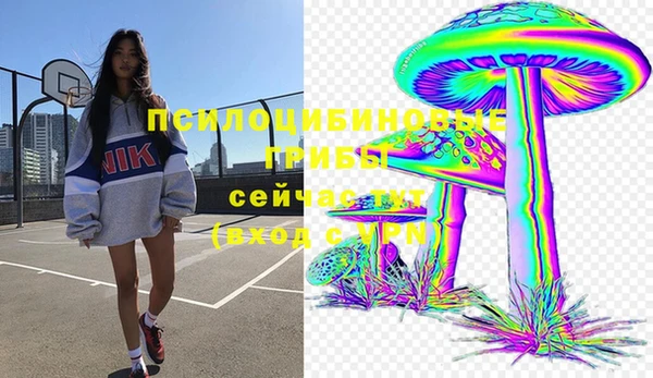 твердый Зеленокумск