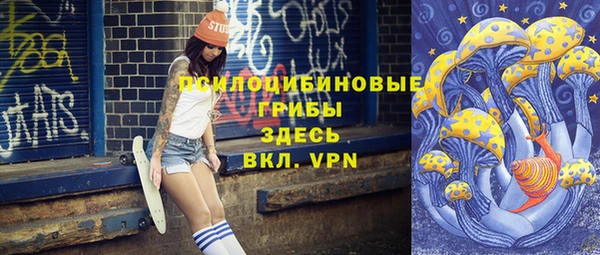 индика Зерноград