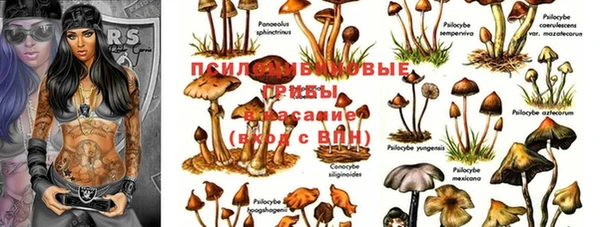 твердый Зеленокумск
