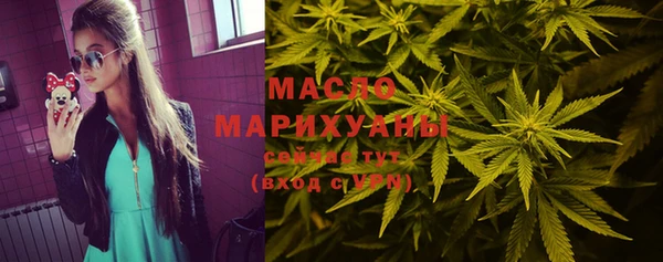 индика Зерноград