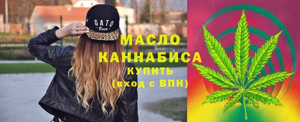 индика Зерноград