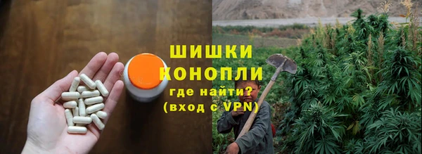 индика Зерноград